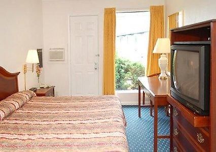 Econo Lodge Inn & Suites Шелберн Номер фото